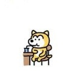 小北🐾