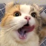 谁的岛