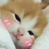 煎饼果子呗