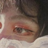 刺猬蝴蝶