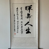 晖舞人生