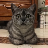 挑食喵喵怪