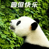 豆友199982150