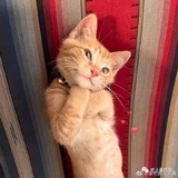 Zoooooo