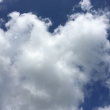 佳佳