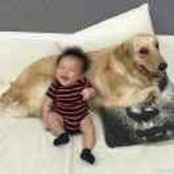 莫西默兮♬