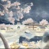 茕茕beta