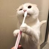 殇依