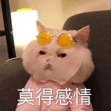 紫梦兰心