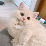 欢喜xjy