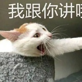 余茉莉
