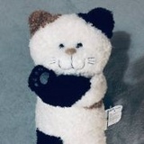 豆豆豆小赤