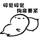 白羊没有你白