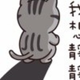 白日梦想家