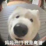 大师摩托车手
