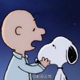 阳光下追风的少
