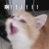 少女央