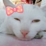 回忆辣么咸