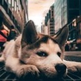 开了一枪👉