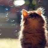 Tina