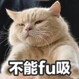 鹅鹅鹅