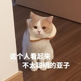 秃头少女