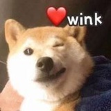 海贼小姐