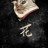 破煤球的铲屎官