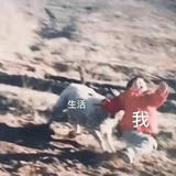 丁冬