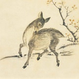菸菟