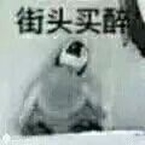 鲜衣怒马。