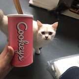 买了否冷