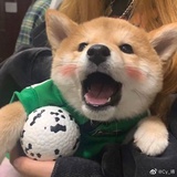 别管我了