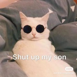 Sheeeeep