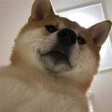 曹某