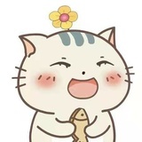 喵喵喵