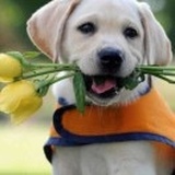 ^_^