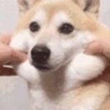 他