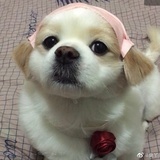 豆友200539424
