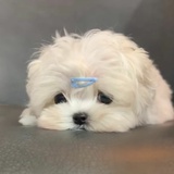 不想上班