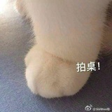 查无此人