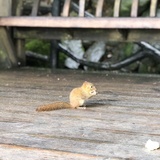 请善良一点