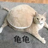 开心的搬砖人