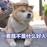 豆友200563989