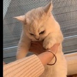 不是本人