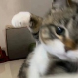 ㅇㅅㅇ