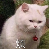 蛋挞冷藏