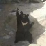 淳诶