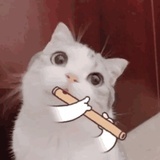 莱二二的小朋友