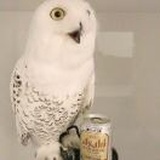Miooooo